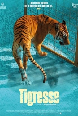 Tigresse (2024)